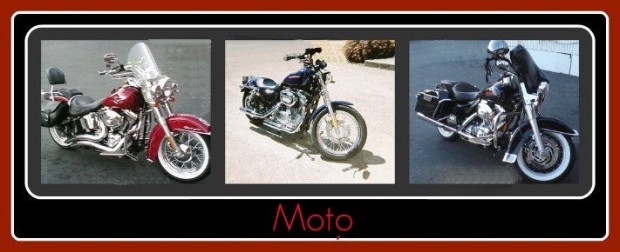 a collection of customer motorcycles detailed by Fifty Dollar Detail that include Harley Davidson, Iron Horse, Suzuki,  and Vistory brand motorcycles.
